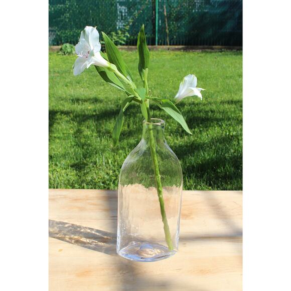 Decorative Vintage Clear Glass Bottle / SimpleVase - Picture 3 of 8